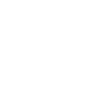 chain icon